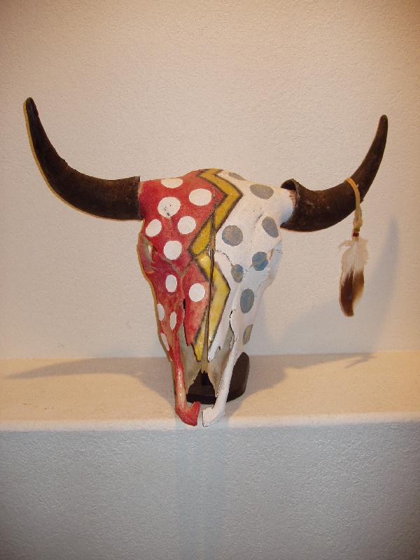 #1301 buffalo skull